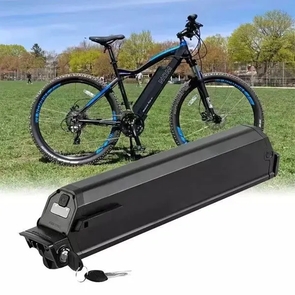 Battery Module 4